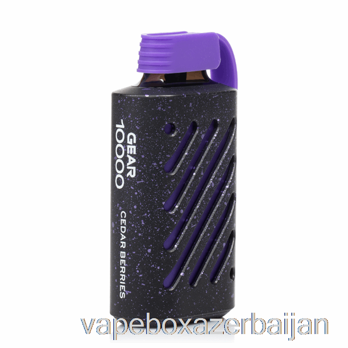 Vape Box Azerbaijan VOZOL Gear 10000 Disposable Cedar Berries